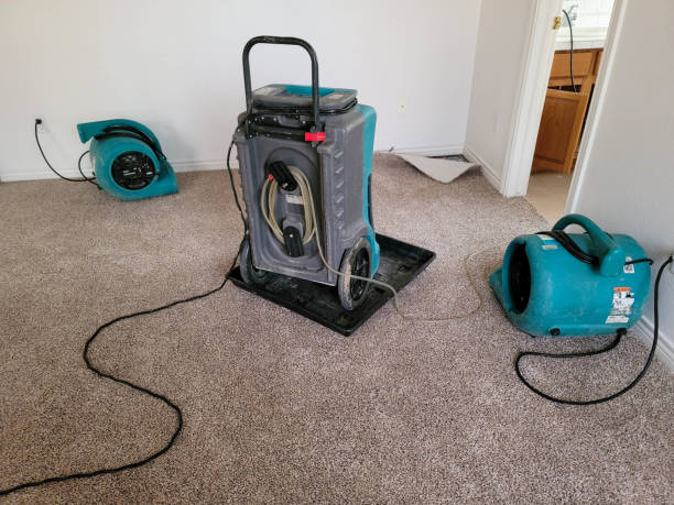Best Local water damage restoration  in Kure Beach, NC