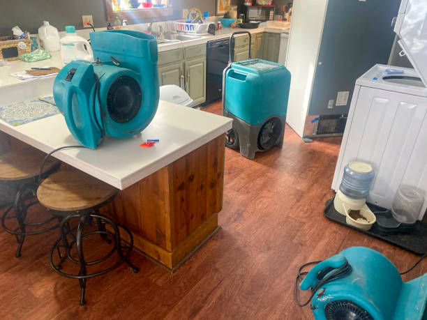 Best Water damage restoration company  in Kure Beach, NC