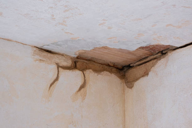 Best Professional water damage repair  in Kure Beach, NC