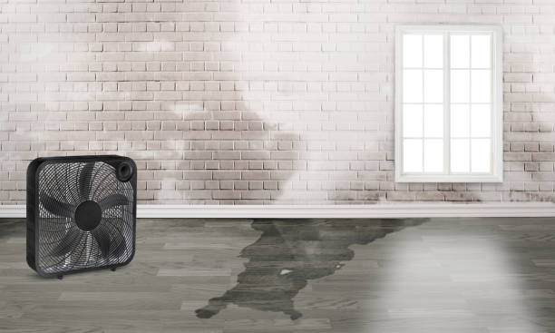 Best Residential water damage restoration  in Kure Beach, NC